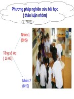 Bài 26. Cảm ứng ở động vật