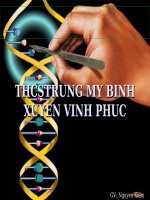 Bài 20. Thực hành: Quan sát và lắp mô hình ADN
