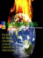 Bài 54. Ô nhiễm môi trường