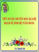 Bài 18. Vận chuyển máu qua hệ mạch. Vệ sinh hệ tuần hoàn