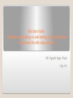 Bài 45. Thực hành: Tìm hiểu môi trường và ảnh hưởng của một số nhân tố sinh thái lên đời sống sinh vật