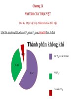 Bài 46. Thực vật góp phần điều hoà khí hậu