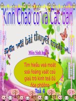 Bài 61. Tìm hiểu một số động vật có tầm quan trọng trong kinh tế ở địa phương