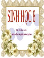 Bài 60. Cơ quan sinh dục nam