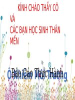 Bài 56. Thực hành: Tìm hiểu tình hình môi trường ở địa phương