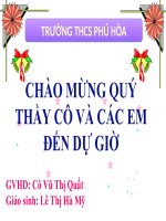 Bài 49. Đa dạng của lớp Thú: Bộ Dơi và bộ Cá voi