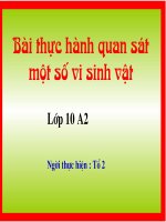 Bài 28. Thực hành: Quan sát một số vi sinh vật