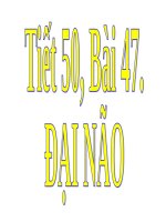 Bài 46. Trụ não. Tiểu não. Não trung gian