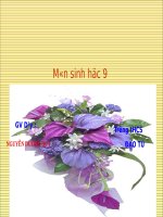 Bài 43. Ảnh hưởng của nhiệt độ và độ ẩm lên đời sống sinh vật