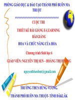 Bài 28. Cấu tạo và chức năng của hoa