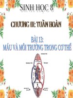 Bài 13. Máu và môi trường trong cơ thể