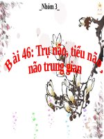 Bài 46. Trụ não. Tiểu não. Não trung gian