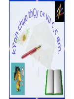 Bài 45. Dây thần kinh tủy