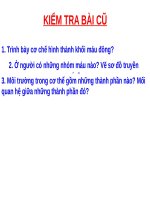 Bài 16. Tuần hoàn máu và lưu thông bạch huyết