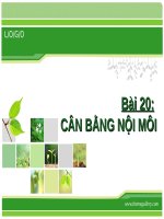 Bài 20. Cân bằng nội môi
