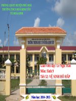 Bài 23. Đột biến số lượng nhiễm sắc thể