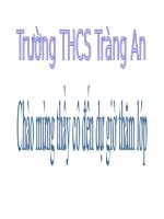 Bài 20. Thực hành: Quan sát và lắp mô hình ADN