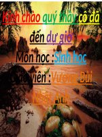 Bài 9. Đa dạng của ngành Ruột khoang