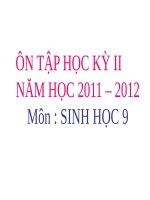 Bài 63. Ôn tập phần Sinh vật và môi trường