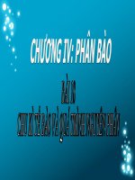 Bài 18. Chu kì tế bào và quá trình nguyên phân