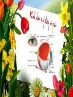 Bài 50 Vệ sinh mắt