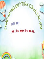 Bài 18. Tuần hoàn máu