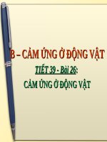 Bài 26. Cảm ứng ở động vật