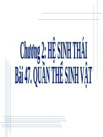 Bài 47. Quần thể sinh vật