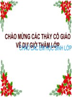 Bài 48. Vai trò của thực vật đối với động vật và đối với đời sống con người