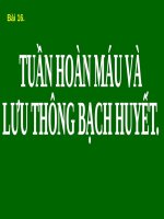 Bài 19. Thực hành: Sơ cứu cầm máu
