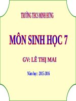 Bài 43. Cấu tạo trong của chim bồ câu