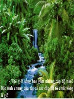 Bài 1. Sự hấp thụ nước và muối khoáng ở rễ