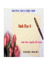 Bài 41. Hạt kín - Đặc điểm của thực vật Hạt kín