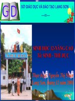 Bài 65. Ôn tập phần sáu (Tiến hoá) và phần bảy (Sinh thái học)