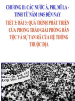 Bài 3. Quá trình phát triển của phong trào giải phóng dân tộc và sự tan rã của hệ thống thuộc địa