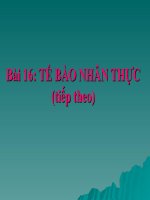 Bài 16. Tế bào nhân thực (tiếp theo)