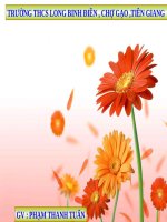 Bài 4. Phong trào công nhân và sự ra đời của chủ nghĩa Mác