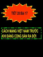 Bài 17. Cách mạng Việt Nam trước khi Đảng Cộng sản ra đời