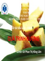 Tiểu luận nhóm: Quá trình nướng
