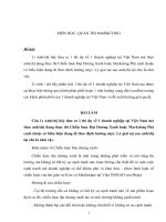 Phân tích chiến lược đại dương xanh của sữa TH true milk