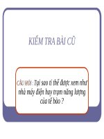 Bài 16. Tế bào nhân thực (tiếp theo)