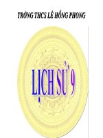 Bài 17. Cách mạng Việt Nam trước khi Đảng Cộng sản ra đời