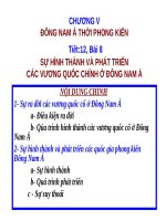 Bài 8. Sự hình thành và phát triển các vương quốc chính ở Đông Nam Á