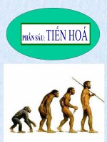 Bài 32. Bằng chứng giải phẫu học so sánh và phôi sinh học so sánh