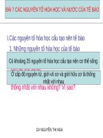 Bài 7. Các nguyên tố hoá học và nước của tế bào