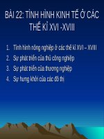 Bài 22. Tình hình kinh tế ở các thế kỷ XVI-XVIII