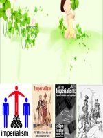 Bài 34. Các nước tư sản chuyển sang giai đoạn đế quốc chủ nghĩa