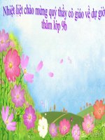 Bài 24. Cuộc đấu tranh bảo vệ và xây dựng chính quyền dân chủ nhân dân (1945 - 1946)