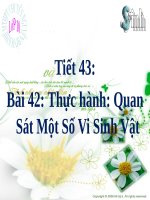 Bài 42. Thực hành: Quan sát một số vi sinh vật