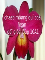 Bài 32. Ôn tập Phần một và Phần hai